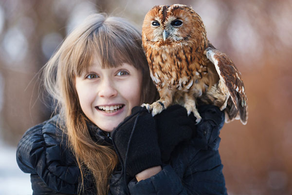 Owls as Pets with girl